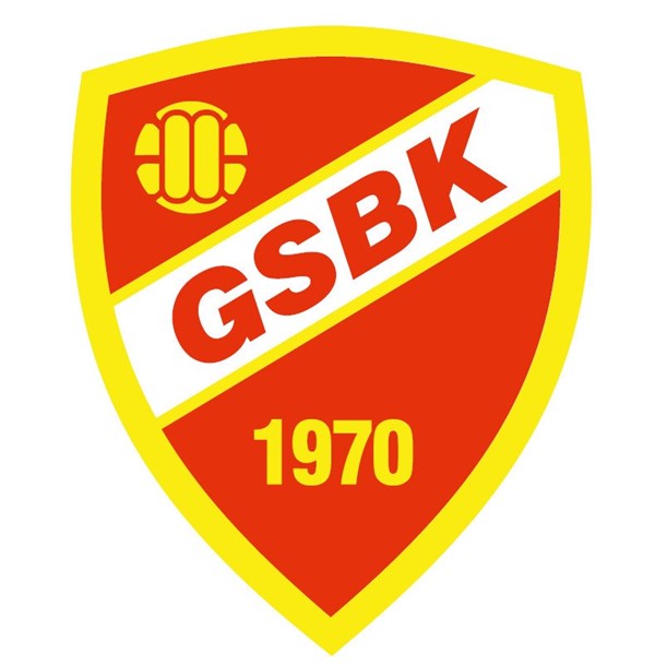 Logo del equipo 13637