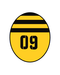 Logo del equipo 95944