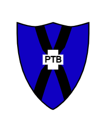 Logo del equipo 13729