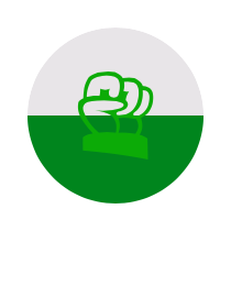 Logo del equipo 20305