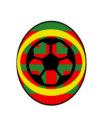 Logo del equipo 20317