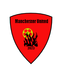 Logo del equipo 35893