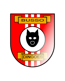 Busso Dingoes