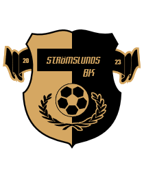 Logo del equipo 45600