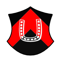 Logo del equipo 46831