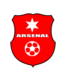 Logo del equipo 54133