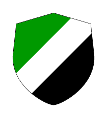 Logo del equipo 55308