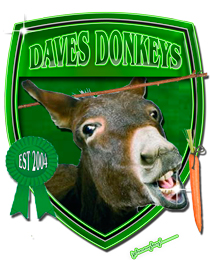 Dave's Donkeys