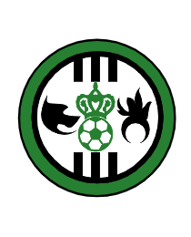 Logo del equipo 66038