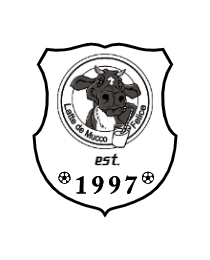Logo del equipo 998617