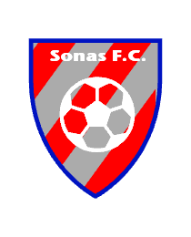 Logo del equipo 910811