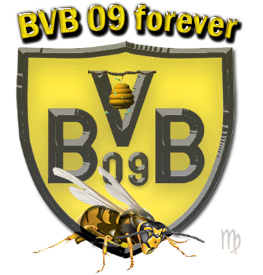 BVB 09 forever