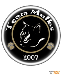 Logo del equipo 957229
