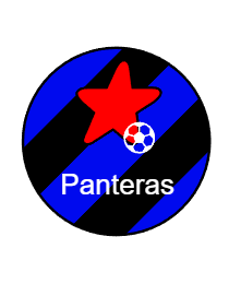 Logo del equipo 967937