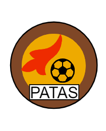 Logo del equipo 988421