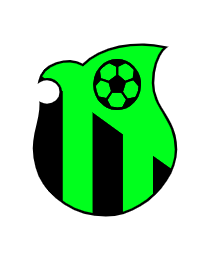 Logo del equipo 989913