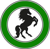 Logo del equipo 1003233