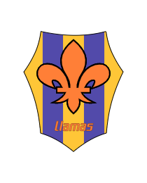 Logo del equipo 1017739