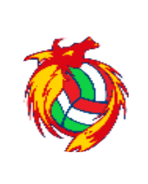 Logo del equipo 1038575