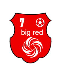 Logo del equipo 1091147