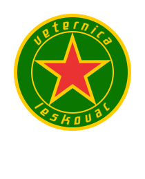 Logo del equipo 62116