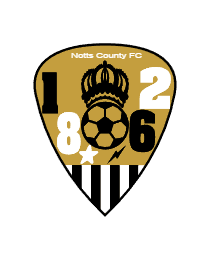 Logo del equipo 1109283