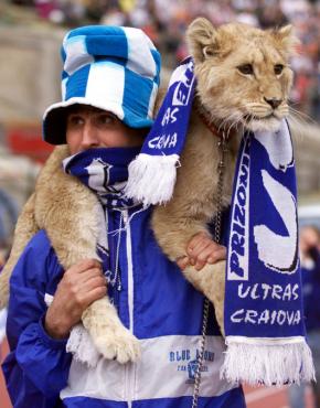 Craiova's Blue Lions
