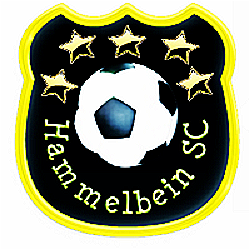 Logo del equipo 1193376