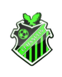 Logo del equipo 1329994