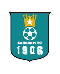 Logo del equipo 1331307