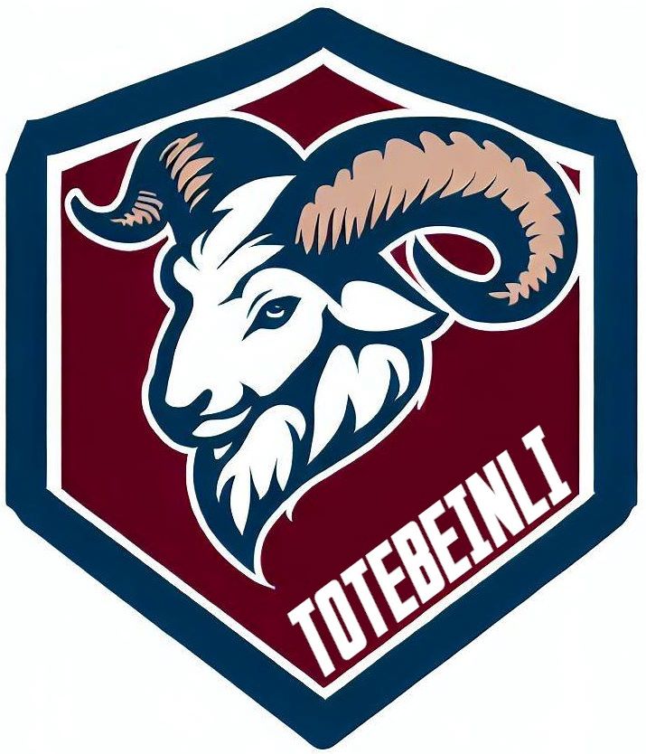 Logo del equipo 41421