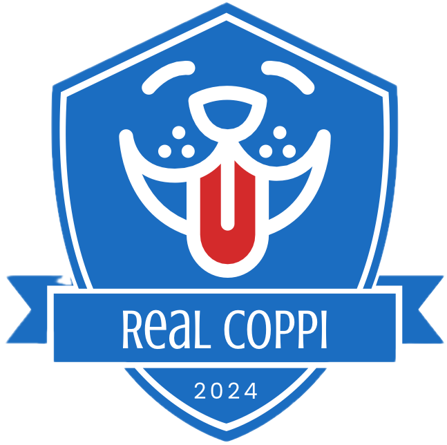 Logo del equipo 1415380