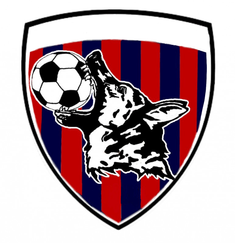Logo del equipo 1449929