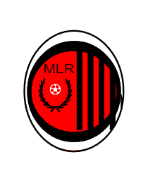 Logo del equipo 1460931