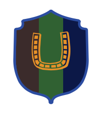 Logo del equipo 1585384