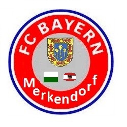 Logo del equipo 1653254