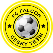 Logo del equipo 2096427