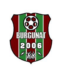 Logo del equipo 1736268