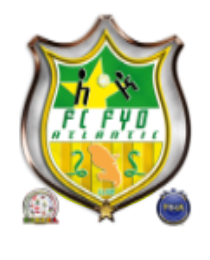 Logo del equipo 1757594
