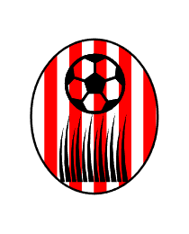 Logo del equipo 1816608