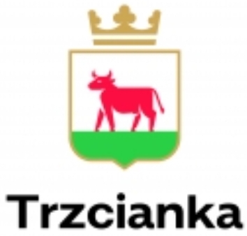 Logo del equipo 1820227