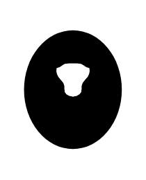 Logo del equipo 1858051