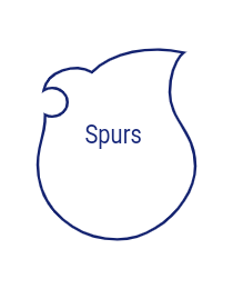 Logo del equipo 1899579