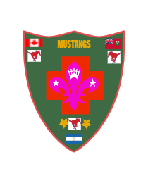 Logo del equipo 108373