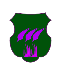 Logo del equipo 116381