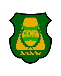 Logo del equipo 2095208