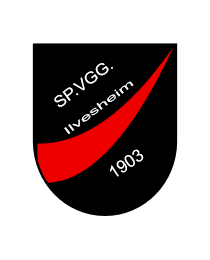 Logo del equipo 132966