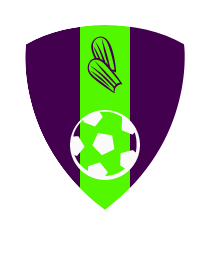 Logo del equipo 145402