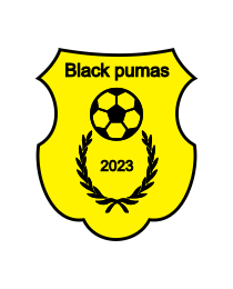 Logo del equipo 153469