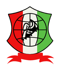 Logo del equipo 157694